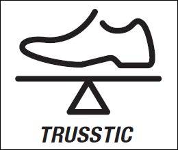 Trusstic System (Система Трасстик)
