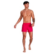 Шорты пляжные Speedo Fitted Leis split 8-106093592