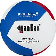 Волейбольный мяч Gala PRO-LINE 12 BV5595S