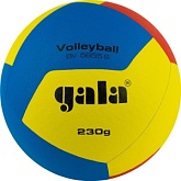Волейбольный мяч GALA Training 230 12 BV5655S 5