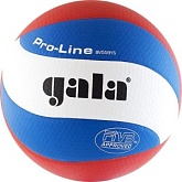 Волейбольный мяч Gala PRO-LINE 10 FIVB