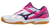 Волейбольные кроссовки Mizuno CYCLONE SPEED (W)