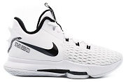 Баскетбольные кроссовки Nike LEBRON WITNESS 5 CQ9380-101