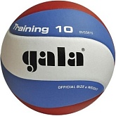 Волейбольный мяч Gala TRAINING 10
