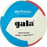 Волейбольный мяч GALA School 12 BV5715S 5