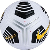 Футбольный мяч Nike Flight 5 DA5635-100