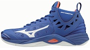 Волейбольные кроссовки Mizuno WAVE MOMENTUM MID