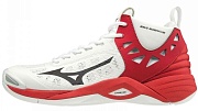 Волейбольные кроссовки Mizuno WAVE MOMENTUM MID