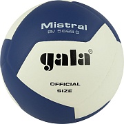 Волейбольный мяч GALA Mistral 12 BV5665S 5