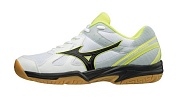 Волейбольные кроссовки Mizuno CYCLONE SPEED