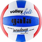 Волейбольный мяч Gala ACADEMY