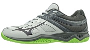 Волейбольные кроссовки Mizuno THUNDER BLADE 2