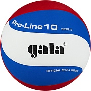 Волейбольный мяч Gala PRO-LINE 10 BV5821SA