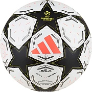 Футбольный мяч ADIDAS UCL Pro Sala IX4057 4