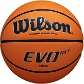 Баскетбольный мяч Wilson EVO NXT 6
